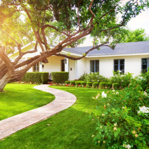 home with green grass yard