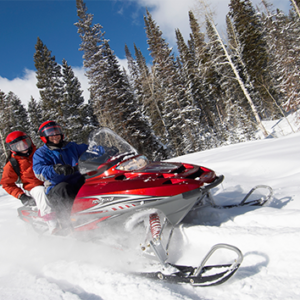 snowmobile insurance policy